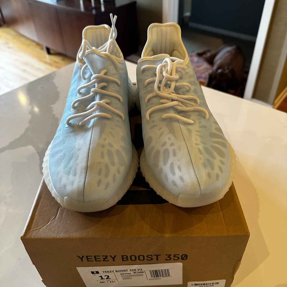 Adidas Yeezy Boost 350 V2 Mono Ice